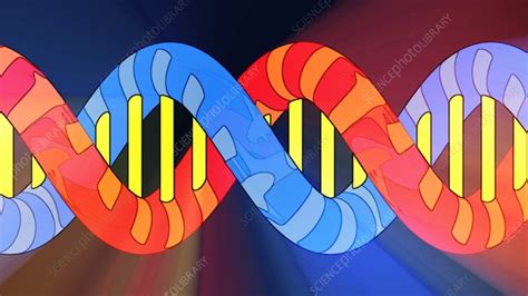 DNA molecule, animation - Stock Video Clip - K008/8250 - Science Photo Library