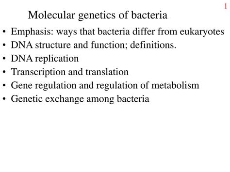 PPT - Molecular genetics of bacteria PowerPoint Presentation, free download - ID:523395