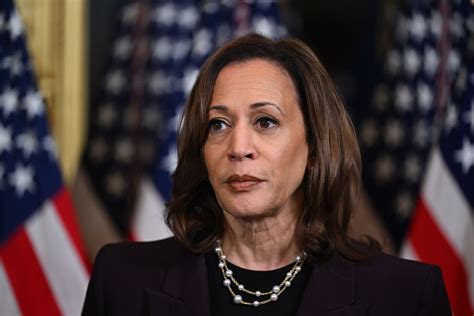 'Real fodder': GOP zeroes in on most potent attacks against Kamala ...