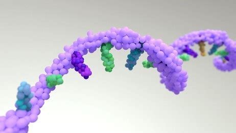 RNA Structure Characterization - Creative Biostructure