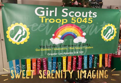 Girl Scout Troop Banner 2.5 x 6 with removable Troop Member | Etsy