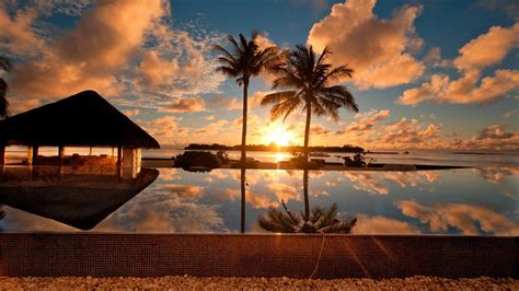 Sunset At Palm Beach HD desktop wallpaper : Widescreen : High ...