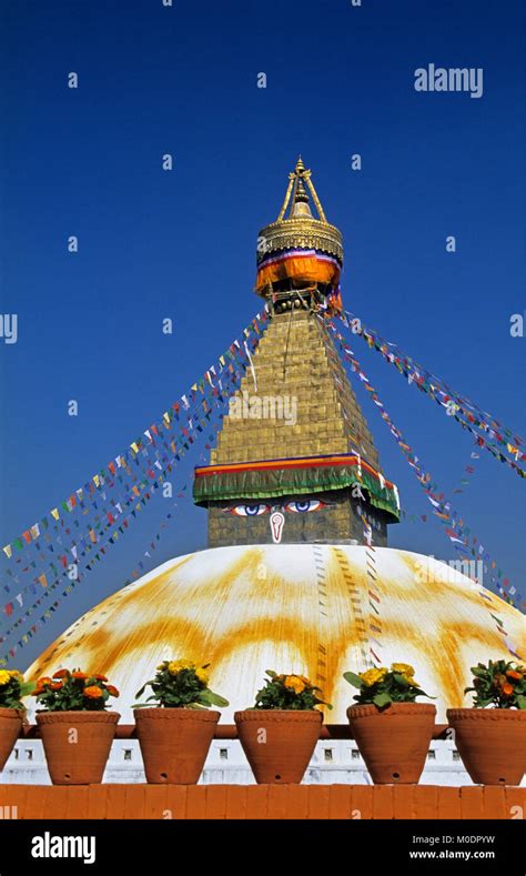 Nepal. Kathmandu, Bodnath temple, stupa (Buddhism) and flowerpots with ...