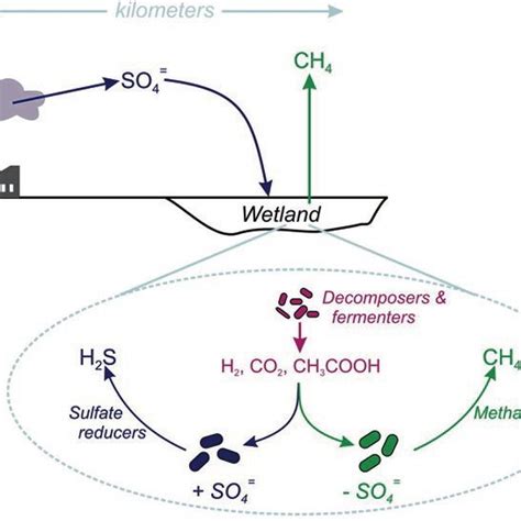 2 Diagrammatic representation of methane production from different ways ...