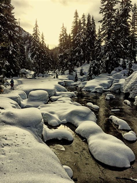 The 8 Best Snowshoeing Trails In Washington State