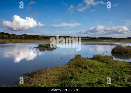 Burton Mere RSPB Reserve Stock Photo - Alamy