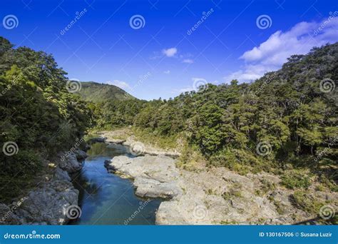 Pelorus Bridge Scenic Reserve Stock Photo - Image of filming ...