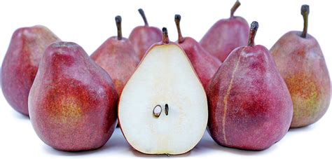 Red Anjou Pears Information and Facts