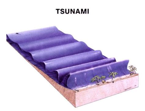 model of a tsunami! | Science activities for kids, Tsunami, Science fair projects