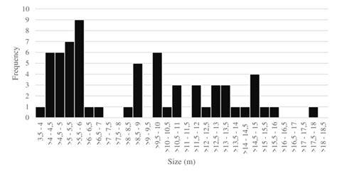 Size distribution of stranded southern right whales in South African... | Download Scientific ...