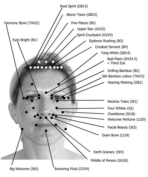 Facial Rejuvenation Acupressure (+ 4 free e-Books) - Acupressure Wellness Acupressure Chart ...