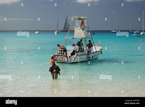 Divers at Pebbles Beach, Barbados Caribbean Stock Photo - Alamy