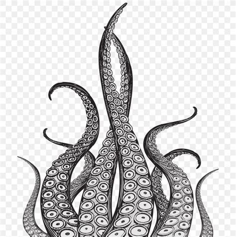 Kraken Octopus Squid Drawing Tentacle, PNG, 864x868px, Kraken, Black ...