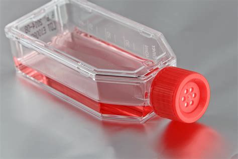 Cell line characterization - BaseClear B.V.