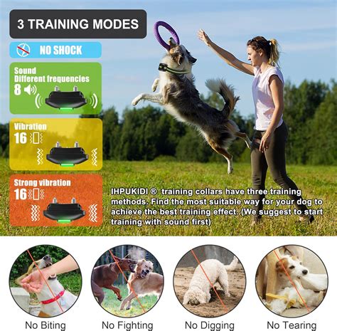 Effective Dog Training Collar Review