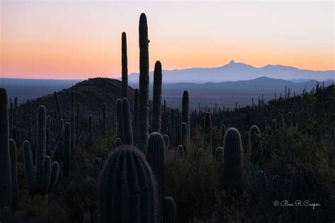 Twilight At Saguaro National Park | Ben R Cooper Photography