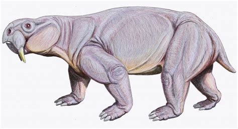 Triassic Animals – Discover The Animals That Lived In The Triassic Period