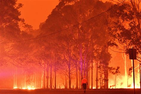 Turistas se refugiam em praias para escapar de incêndios na Austrália - 31/12/2019 - Mundo - Folha