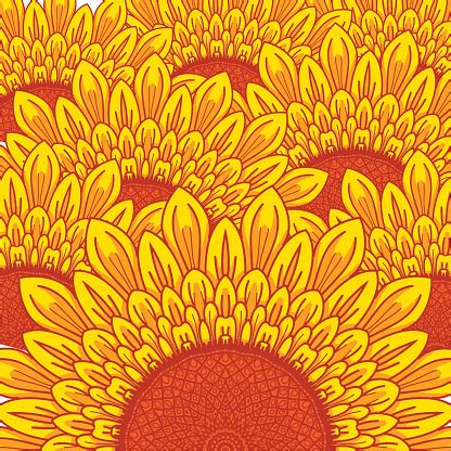 summer Sunflower background vector image | Royalty Free