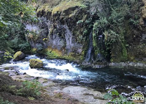 Salmon Creek Trail » BendTrails