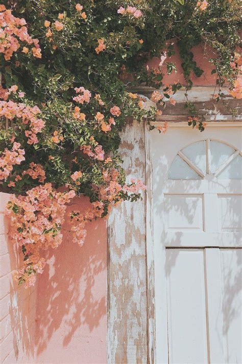 Aesthetic Peach Aesthetic Pastel Colors Wallpaper : Search your top hd ...