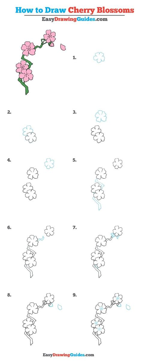 How to Draw Cherry Blossoms - Really Easy Drawing Tutorial | Flower drawing tutorials, Cherry ...