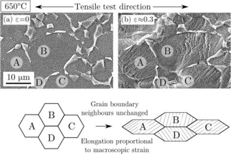 Micrographs of Ti–6Al–4V sample tested at 650 ∘C at a strain rate of ...