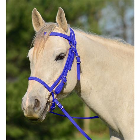 Shop English Bridle with Cavesson for Horses Online - Two Horse Tack