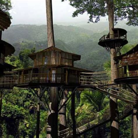 Costa Rica treehouse vacation | Cool tree houses, Tree house, Tree ...