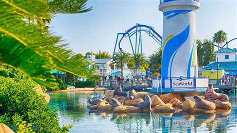 SeaWorld y Tampa's Busch Gardens ya tienen fecha de apertura - Próximo Destino