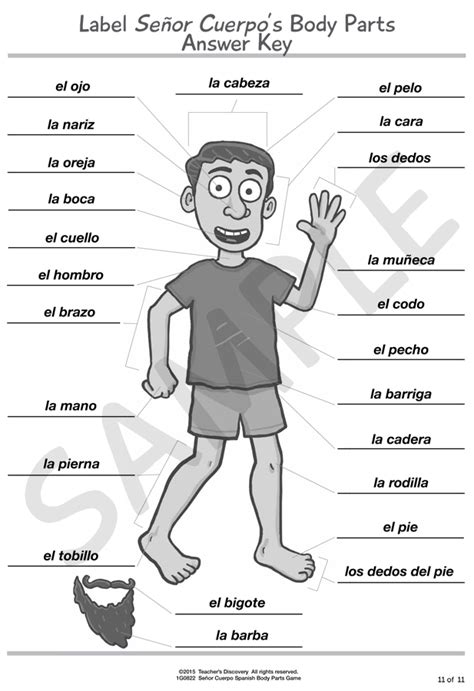 Señor Cuerpo Spanish Body Parts Game, Spanish: Teacher's Discovery