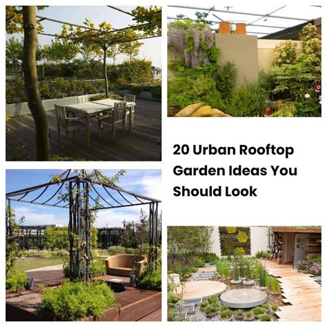 20 Urban Rooftop Garden Ideas You Should Look | SharonSable