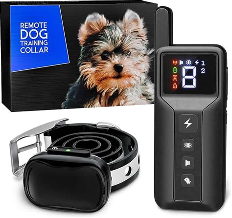 Amazon.com: extra small dog training collar