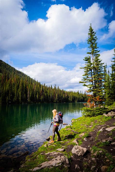 15 BEST Hiking Poles To Save Your Knees