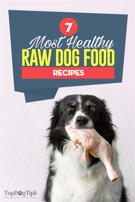 7 Best Raw Dog Food Recipes (Great for Beginners of Raw Feeding)