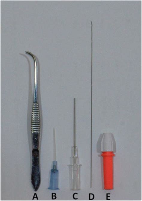 Equipment for the orotracheal intubation of laboratory mice. a tissue... | Download Scientific ...