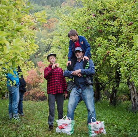 20 Best Apple Picking at Orchards in the U.S.