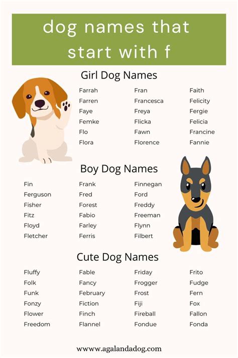 Looking for dog names that start with f? Check out the complete list ...