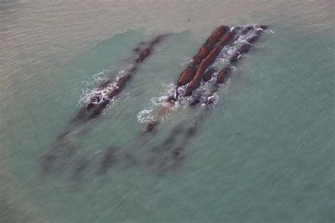 Boscombe Surf Reef – Raised Water Research