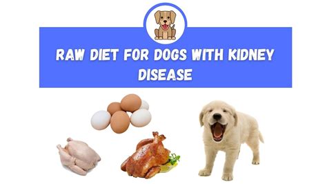 Raw Diet For Dogs With Kidney Disease - Houses & Apartments For Rent