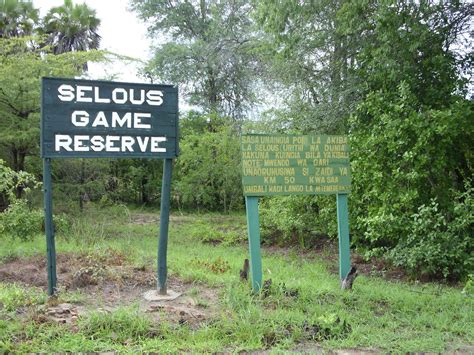 Selous Game reserve – Cheers Tours & Safaris