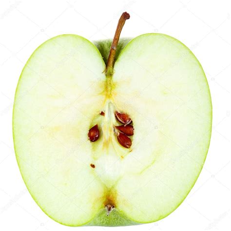 Half of Apple — Stock Photo © dibrova #6635424