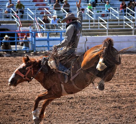 NMSU Earns Spot at College Rodeo Finals | KRWG