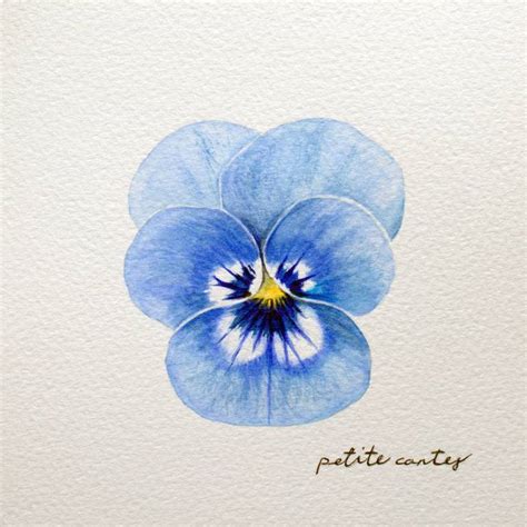 Blue Pansy Painting by Alicia Fordyce | Saatchi Art