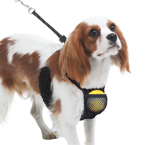 Sporn Nylon Mesh Non-Pulling Dog Harness, Black, S (8" to 14" Chest ...