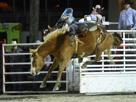 Harris County Ga Rodeo 2024 - Oona Torrie