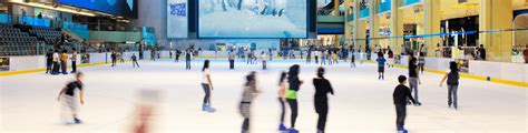 Ice Skating Mall | lupon.gov.ph