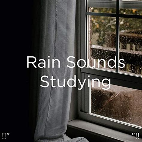 Amazon.com: !!" Rain Sounds Studying "!! : Meditation Rain Sounds and ...