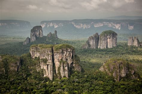 Colombian Forests - Trillion Trees