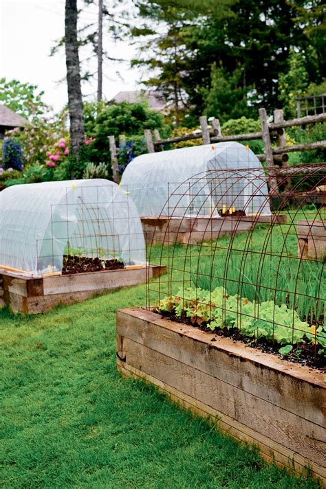 Niki Jabbour - The Year Round Veggie Gardener: Mini Hoop Tunnels in Summer